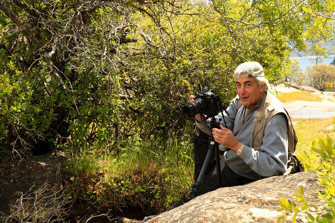 Experience Yosemite: Beginner or Advanced Photography Lesson - Capturing Yosemites Iconic Landscapes