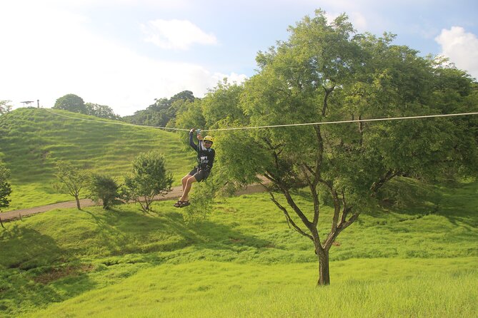 Experience Zip Line Nosara in Guanacaste - Traveler Reviews and Ratings
