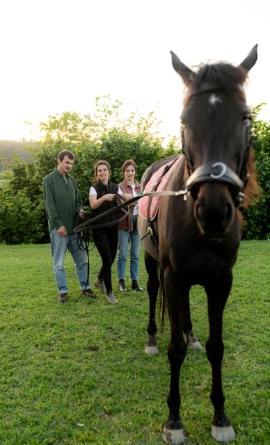 Experiential Activity With Horses: an Experience in Connection - Preparing for Your Experience