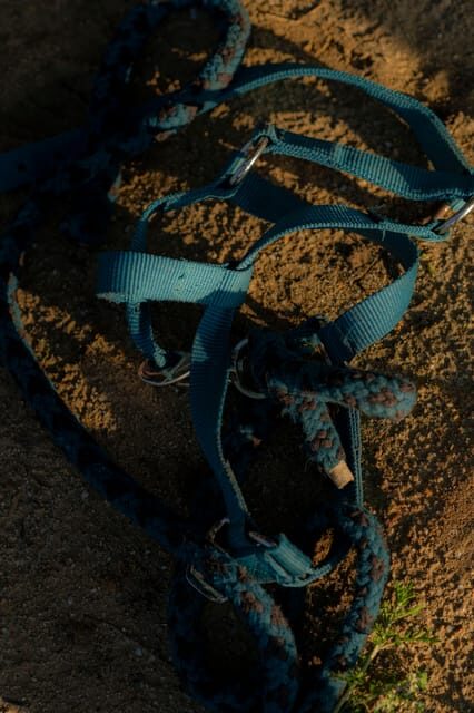 Experiential Activity With Horses: an Experience in Connection - Important Considerations