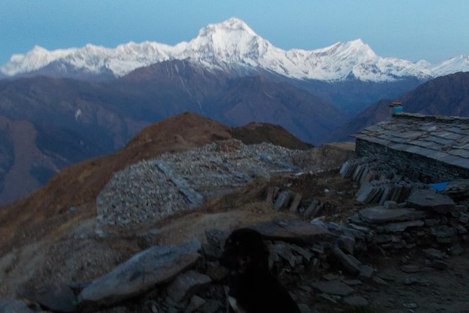 Experiential Career Break Trip to Nepal for Gap Year and Sabbatical Travelers - Transportation and Pickup