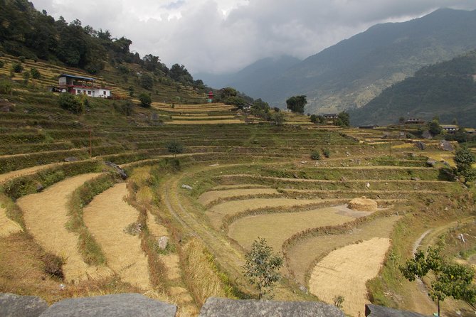 Experiential Career Break Trip to Nepal for Gap Year and Sabbatical Travelers - Transportation and Pickup