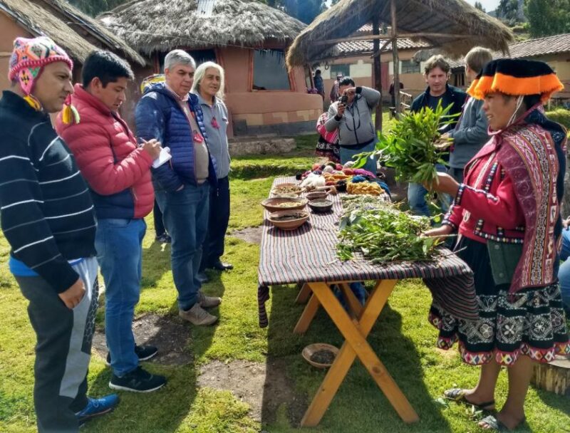 Experiential Tourism in the Amaru Community - Itinerary Details