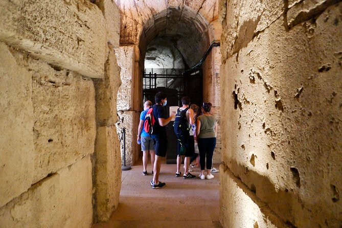 Expert Guided Tour of Colosseum Arena OR Underground, and Forum - Palatine Hill Exploration