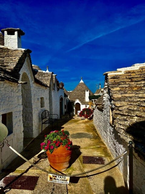 Expert Guided Tour & Tasting, Alberobello - Food Tasting Experience