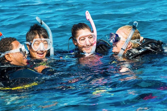 Exploration Dives - Pricing and Booking Details