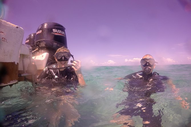 Exploration Dives - Confirmation and Additional Info