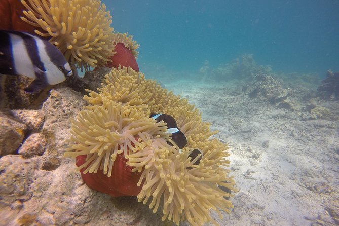 Exploration Dives - Safety Considerations