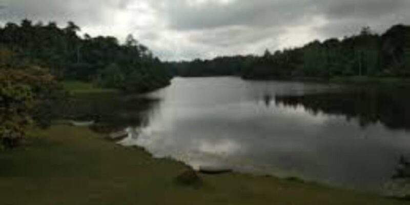 Exploration of Hiyare Forest Through a Nature-Guided Trek - Itinerary Details