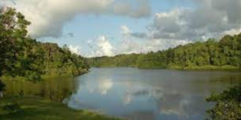 Exploration of Hiyare Forest Through a Nature-Guided Trek - Pickup Locations