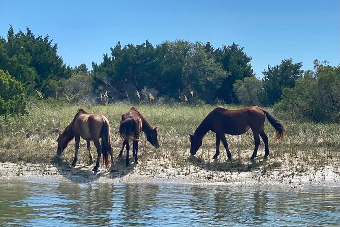 Exploration of Majestic Crystal Coast - Nature Photography Tips