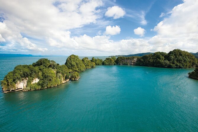 Exploration of Mangroves and Wildlife Los Haitises. - Health and Accessibility