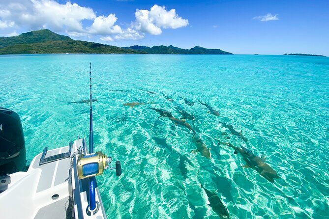 Exploration, Taha'a Lagoon Tour by Private Boat - Introduction: What Makes the Exploration of Raiatea and Taha’a Lagoon Special?