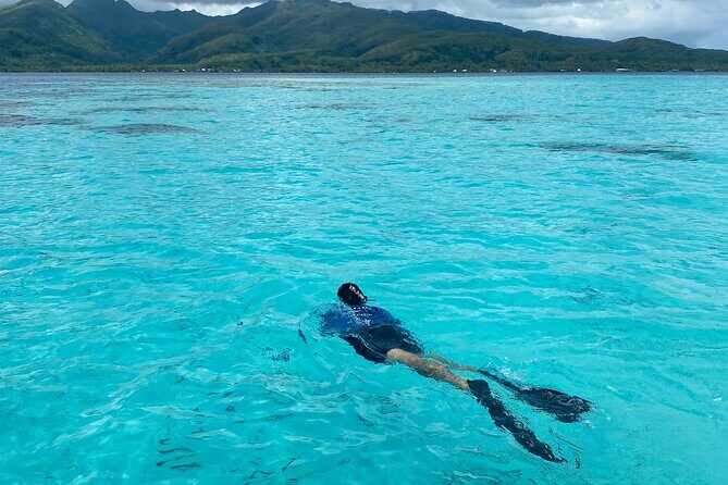 Exploration, Taha'a Lagoon Tour by Private Boat - The Sum Up: Who Will Appreciate This Private Lagoon Tour?