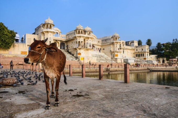 Explore 3-Day Golden Triangle Tour With Hotels From Delhi - Important Information