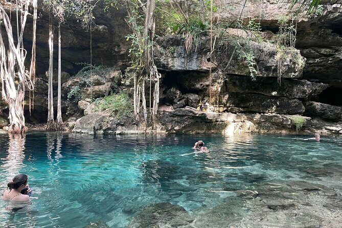 Explore 4 Amazing Cenotes with Lunch Tour from Merida - Key Points