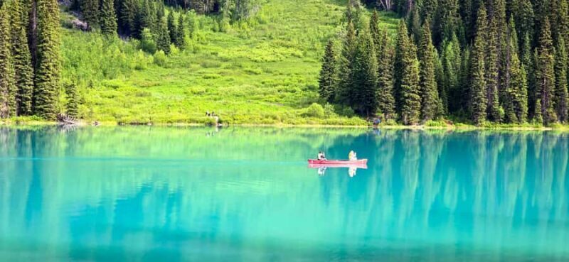 Explore 9 Iconic Banff Spots in 1 Epic Day!(Pax 12/Group) - Frequently Asked Questions