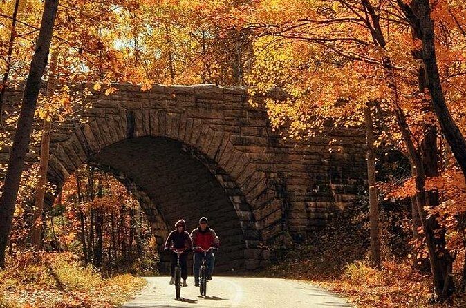 Explore Acadia with Ease Premium E-bike Rentals and Free Delivery - Pricing and Value