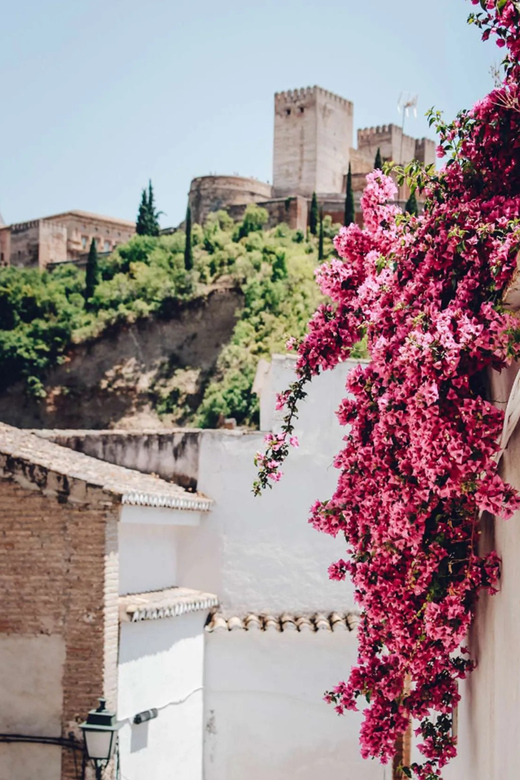 Explore Al-Andalus Heritage of Albaicin & Visit Monuments - Key Points