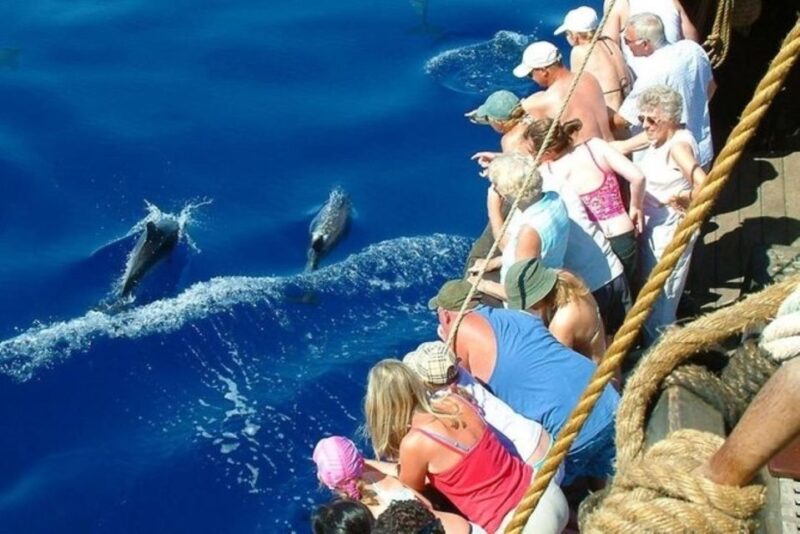 Explore Alanyas Beauty: Catamaran Boat Tour - Alanya Port and Catamaran