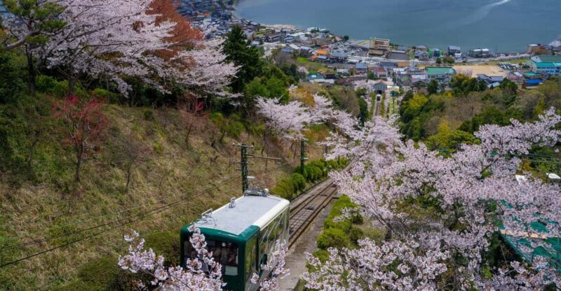 Explore Amanohashidate & Ine Bay: Day Tour From Osaka - Key Points