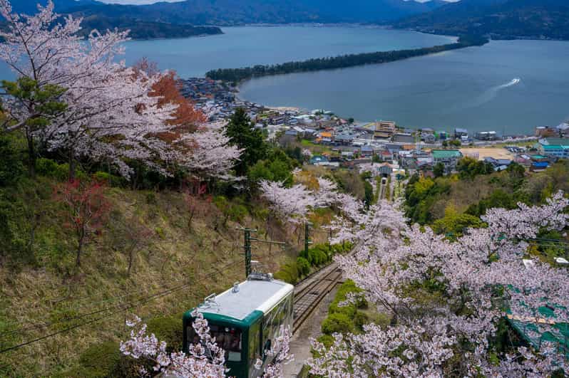 Explore Amanohashidate & Ine Bay: Day Tour From Osaka - Kasamatsu Park: Panoramic Views