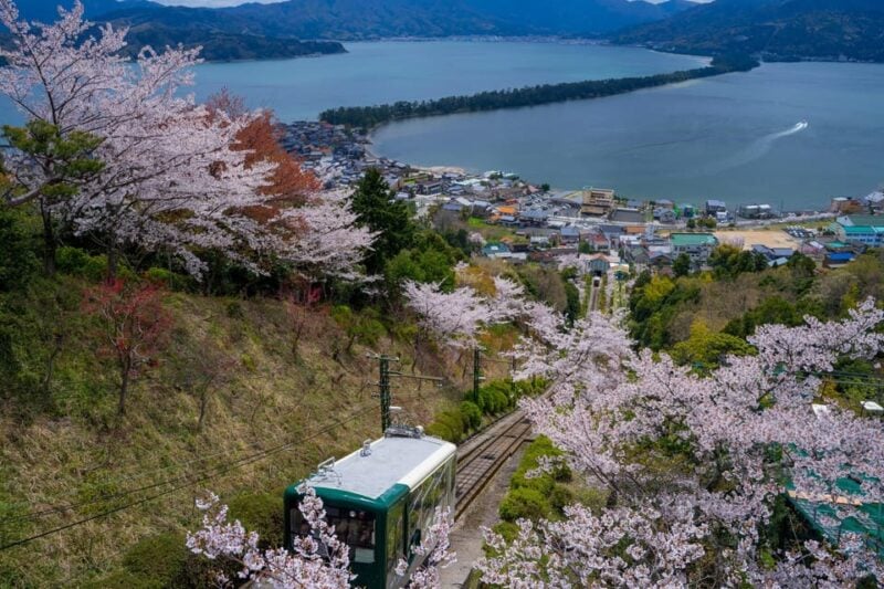 Explore Amanohashidate & Ine Bay: Day Tour From Osaka - Urashima Shrine: A Spiritual Destination