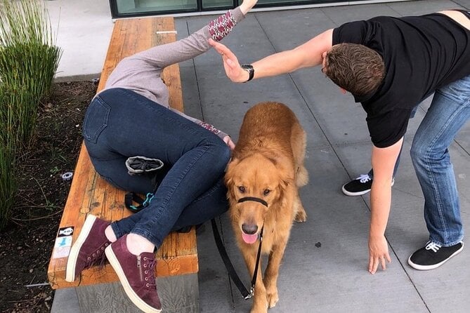 Explore Anaheim With a Unique Scavenger Hunt by Wacky Walks - Booking and Cancellation Policy