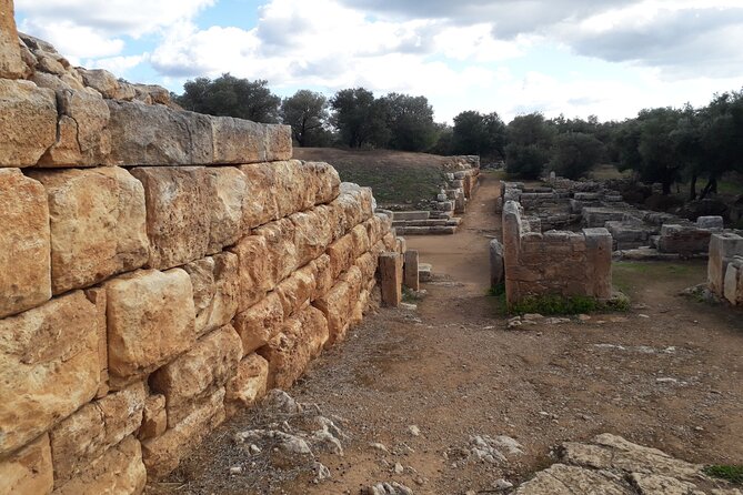 Explore Ancient Aptera and Taste Cretan Wine at Dourakis Winery. - Visiting the Dourakis Winery