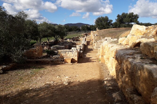 Explore Ancient Aptera and Taste Cretan Wine at Dourakis Winery. - Tasting the Winerys Offerings