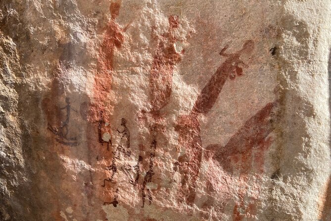 Explore Ancient Rock Art on a Private Guided Trip From Cape Town - Health and Safety Requirements