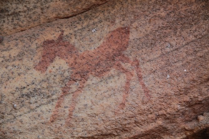 Explore Ancient Rock Art on a Private Guided Trip From Cape Town - Customer Reviews