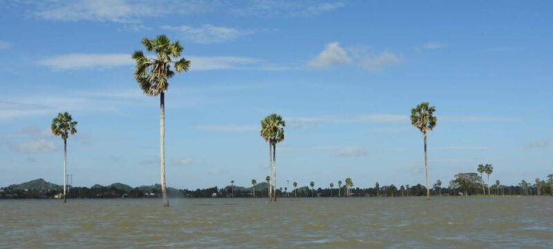 Explore and Discover the Stunning Scenery of Tempe Lake - Key Points