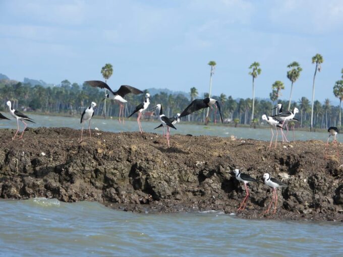 Explore and Discover the Stunning Scenery of Tempe Lake - Interacting With Local Residents
