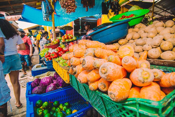 Explore and Learn the Culture of the Dominicans - Immerse in Local Traditions