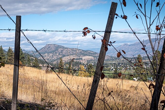 Explore and Learn the Natural Wonders of Summerland - Lifetime Access to Heiko