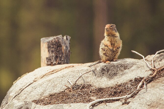 Explore and Learn the Natural Wonders of Summerland - Scheduling and Booking