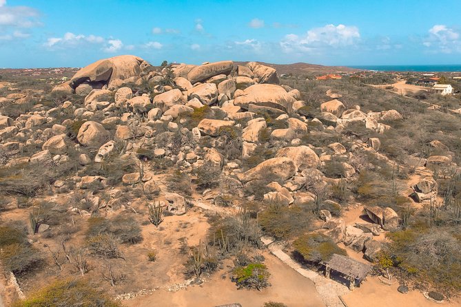 Explore Aruba Party Bus Tour - Activities and Atmosphere