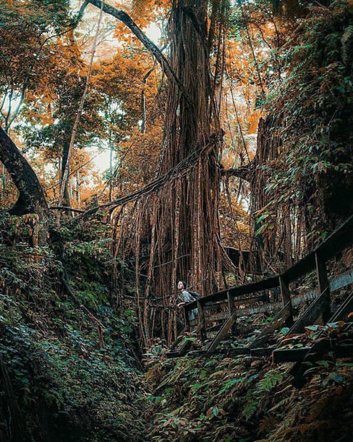 Explore Bali: A Journey Through Beauty & Nature of Bali - Inclusions