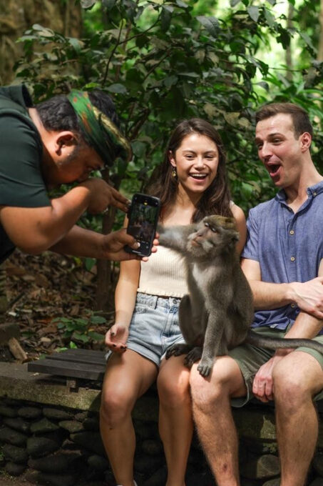 Explore Bali: A Journey Through Beauty & Nature of Bali - Unforgettable Experiences