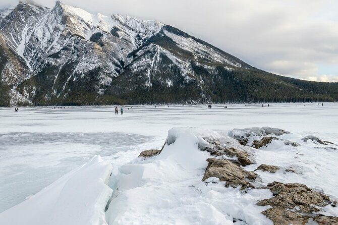 Explore Banff + Wildlife - The Value of the Tour