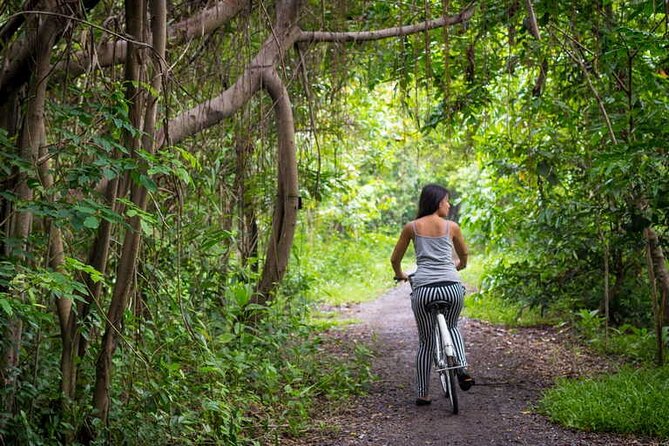Explore Bangkok's Best Parks on Two Wheels - Key Points