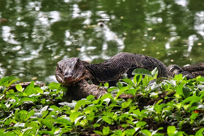 Explore Bangkok's Best Parks on Two Wheels - Fitness and Health Considerations