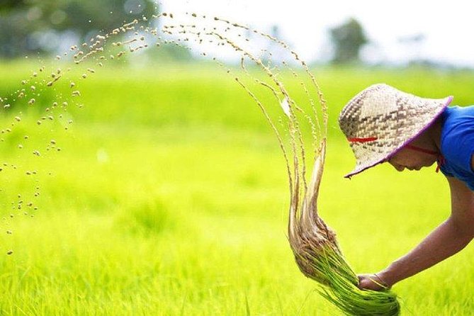 Explore Battambang Full Day Tour (Start 9am-7:00pm) - Pickup and Meeting Details