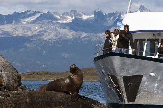 Explore Beagle Channel and Sea Lions Island on a Catamaran Cruise - Scenic Views and Wildlife Sightings