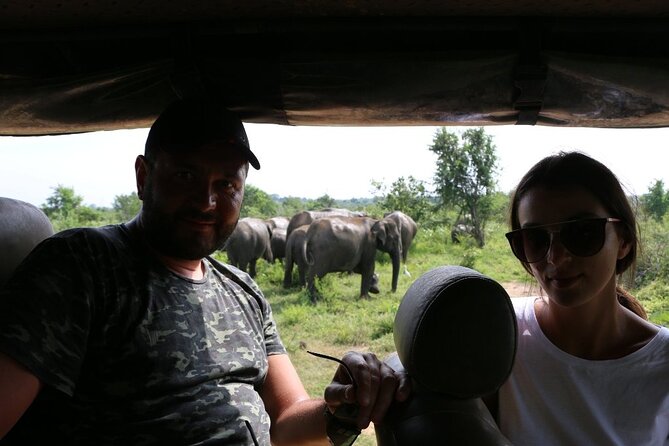 Explore Beauty Of Yala (Ruhuna) National Park From South Coast in One Day. - Exploring the Diverse Wildlife
