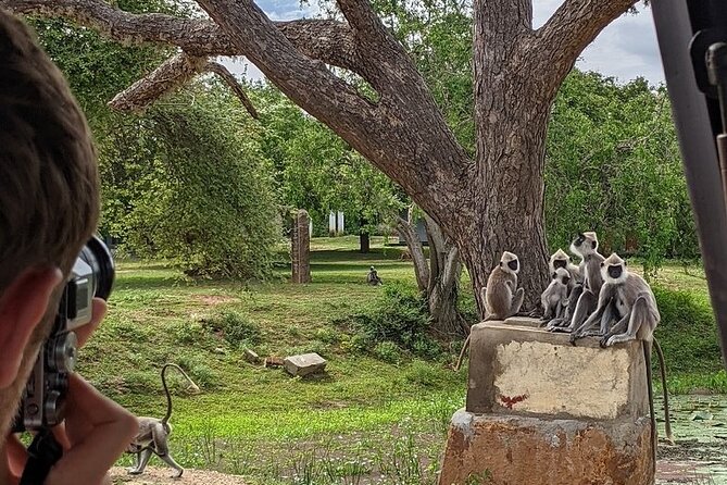 Explore Beauty Of Yala (Ruhuna) National Park From South Coast in One Day. - Safari Experience and Highlights