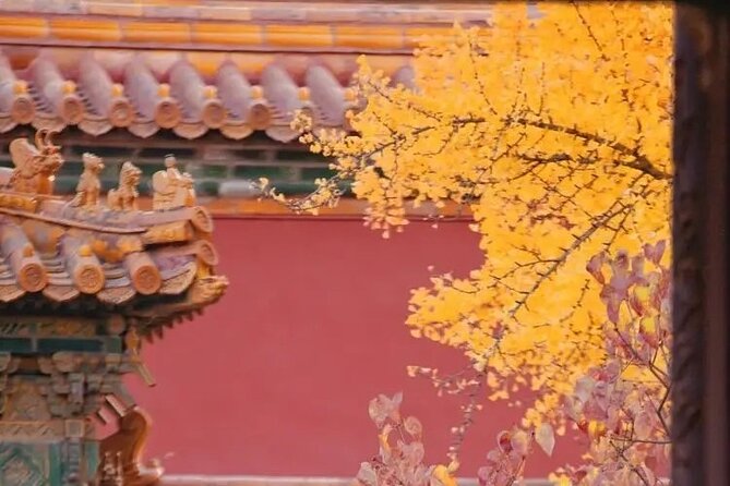 Explore Beijing With Camera--City Walk Tour With Professional Photography Guide - Experience Highlights