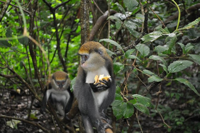 Explore Benin ,Togo & Ghana – 14 Days - Accommodation Details