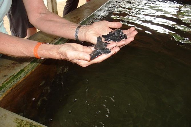 Explore Bentota Village: Guided Tuk Tuk Safari - Bentota Village Exploration